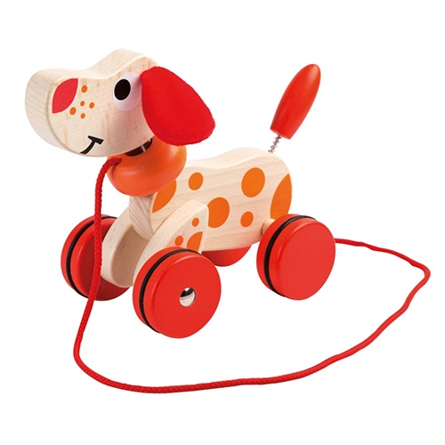 Trekhond kwispelstaart 