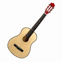 Gitaar reuze 