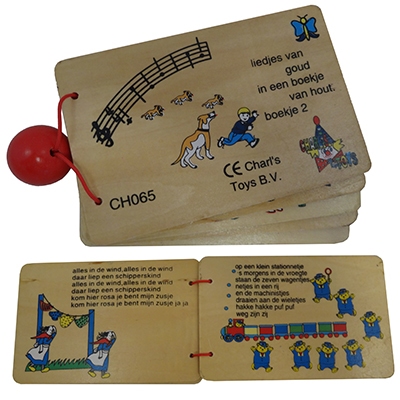 Liedjes boek groot; liedjes van goud; AANBIEDING!